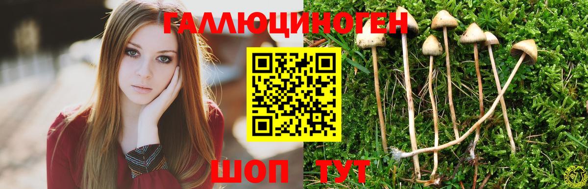 Ишим  Галлюциногенные грибы Magic Shrooms  Вход с VPN  Псилоцибиновые грибы ЛСД 